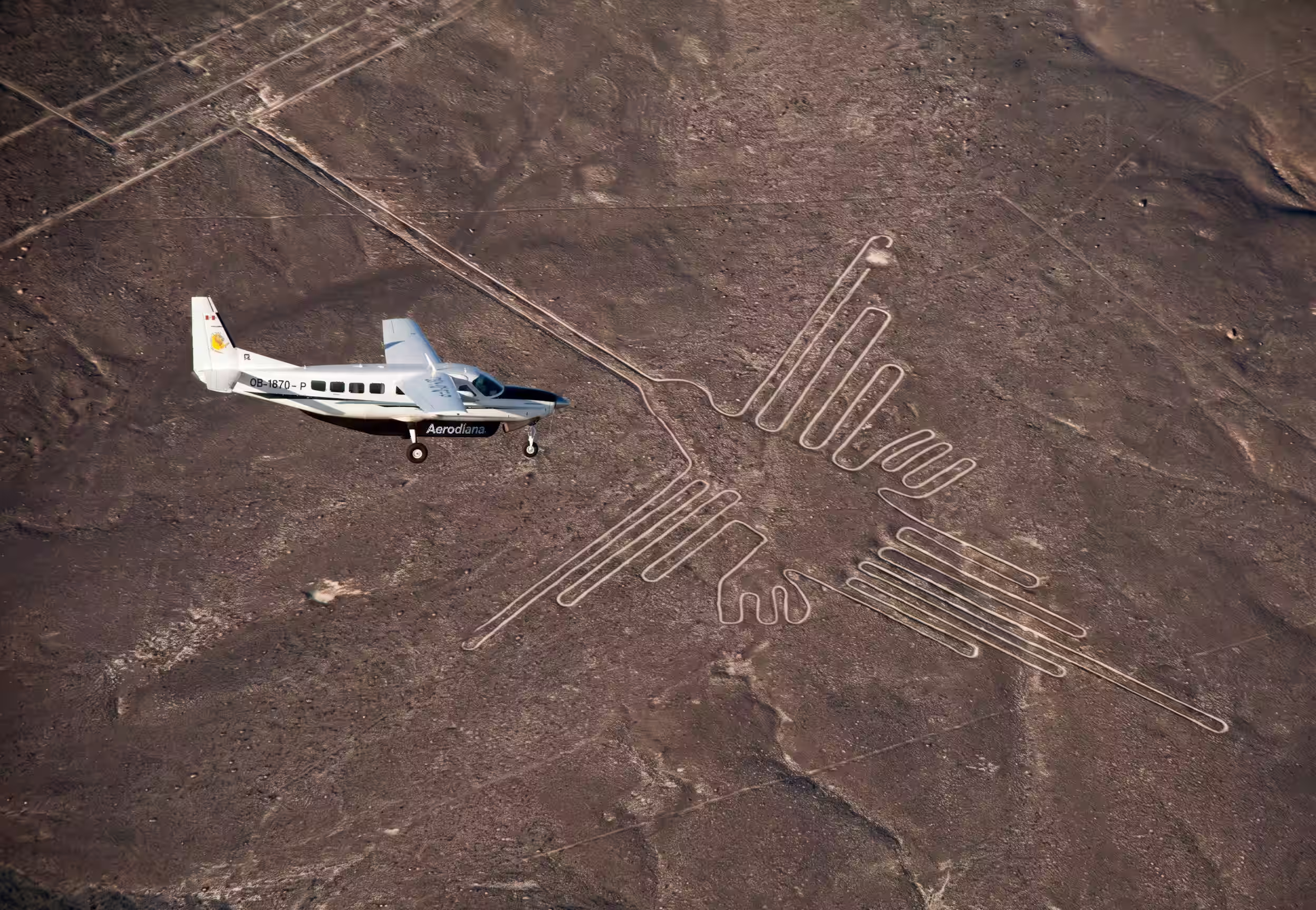 Geoglifos de las Líneas de Nazca observados desde el aire
