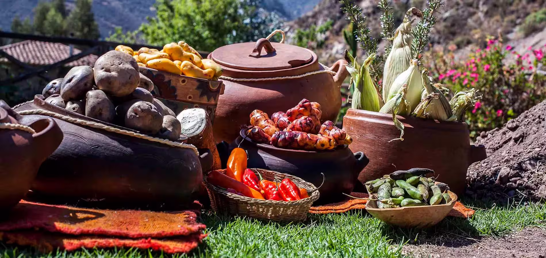 Papas, maíz, tubérculos y ajíes dispuestos junto a recipientes de barro y tejidos al aire libre.