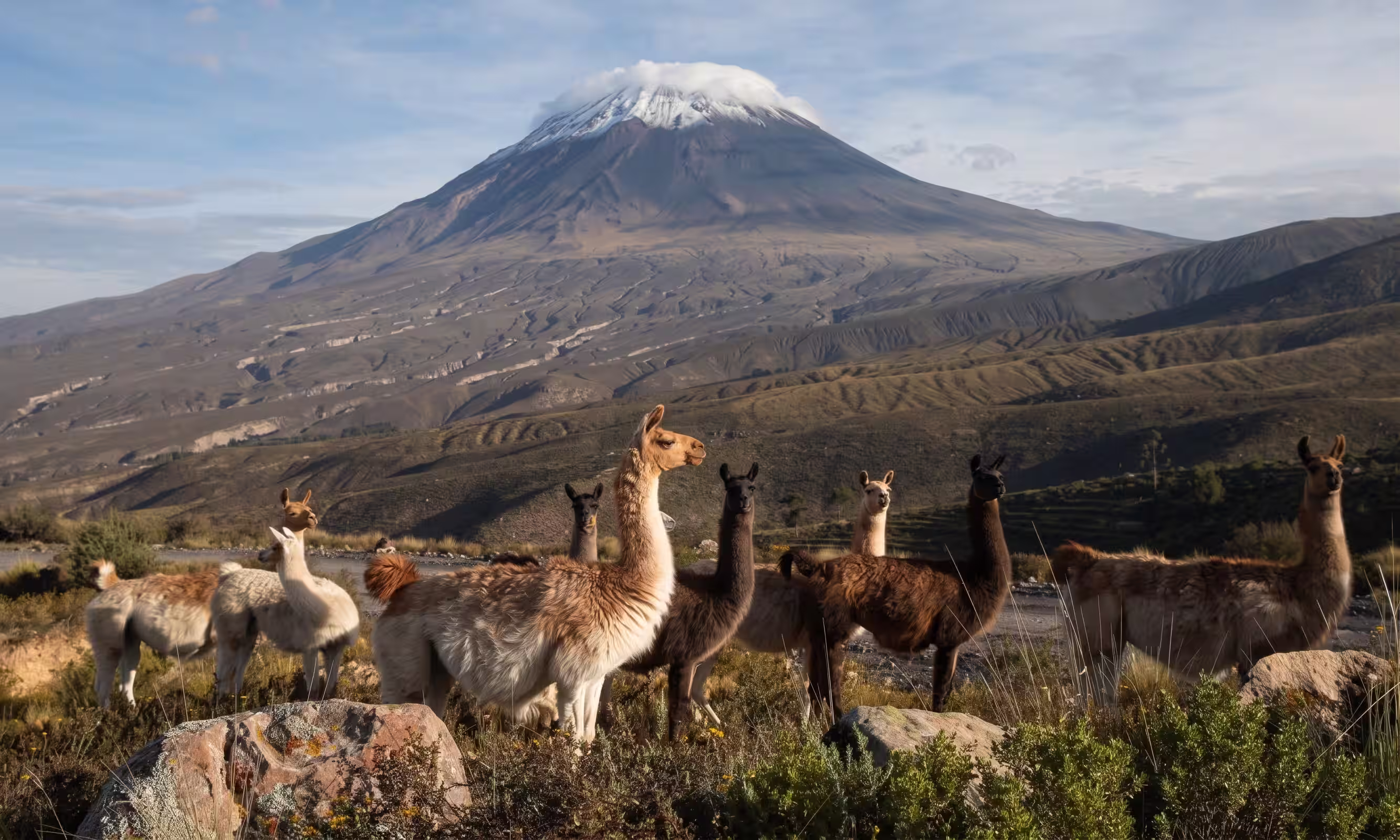 Paisaje altoandino de la Reserva Nacional de Salinas y Aguada Blanca.