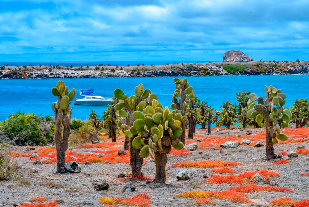 Paisaje costero volcánico de una isla de Galápagos