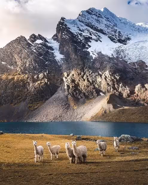 Montañas y llanuras del altiplano peruano en la ruta terrestre entre Cusco y Puno.